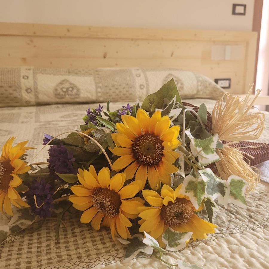 Chalet Monte Nebius 비나디오 외부 사진
