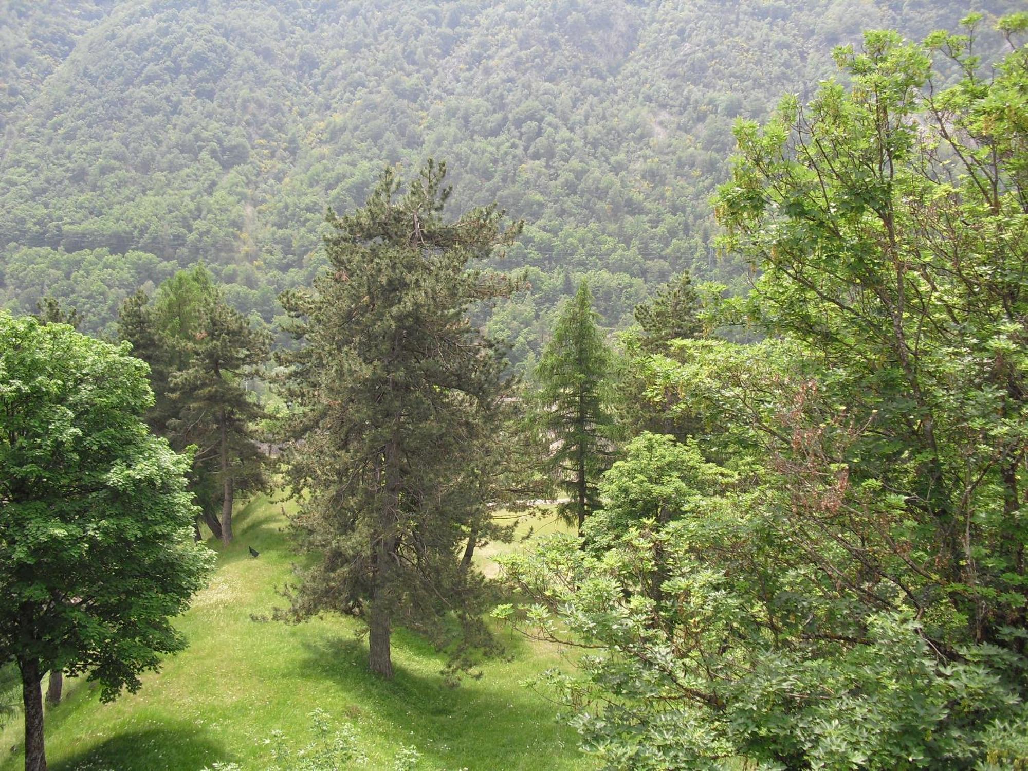 Chalet Monte Nebius 비나디오 외부 사진