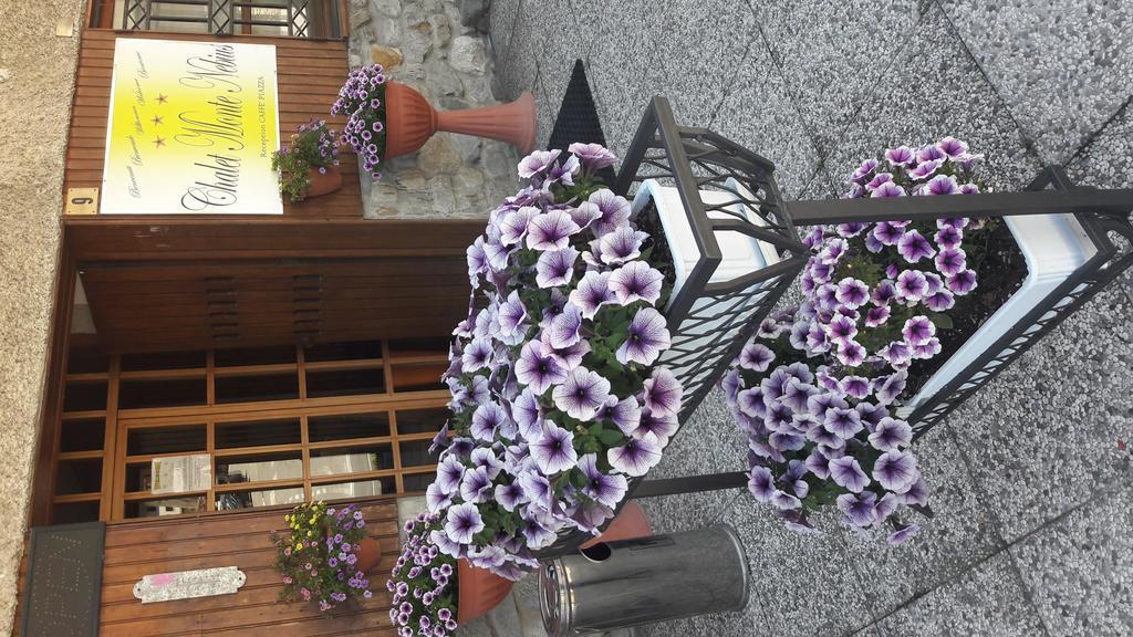Chalet Monte Nebius 비나디오 외부 사진