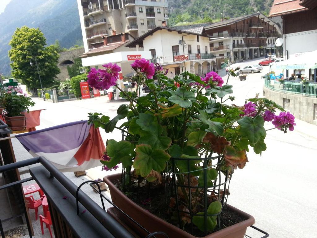 Chalet Monte Nebius 비나디오 객실 사진