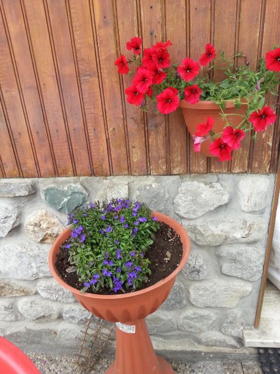 Chalet Monte Nebius 비나디오 외부 사진